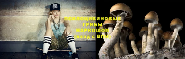 прущие грибы Алексин
