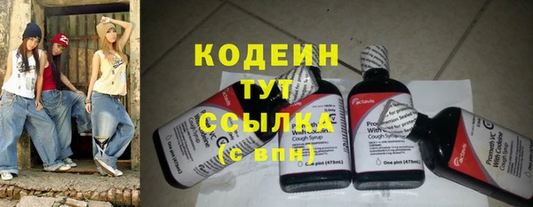 индика Покачи