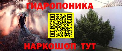 кокс Кандалакша