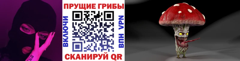 Галлюциногенные грибы Psilocybe  Новодвинск 