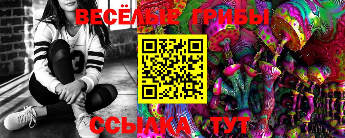 Галлюциногенные грибы GOLDEN TEACHER  Псилоцибиновые грибы Psilocybine cubensis  Вход с VPN  Новодвинск 